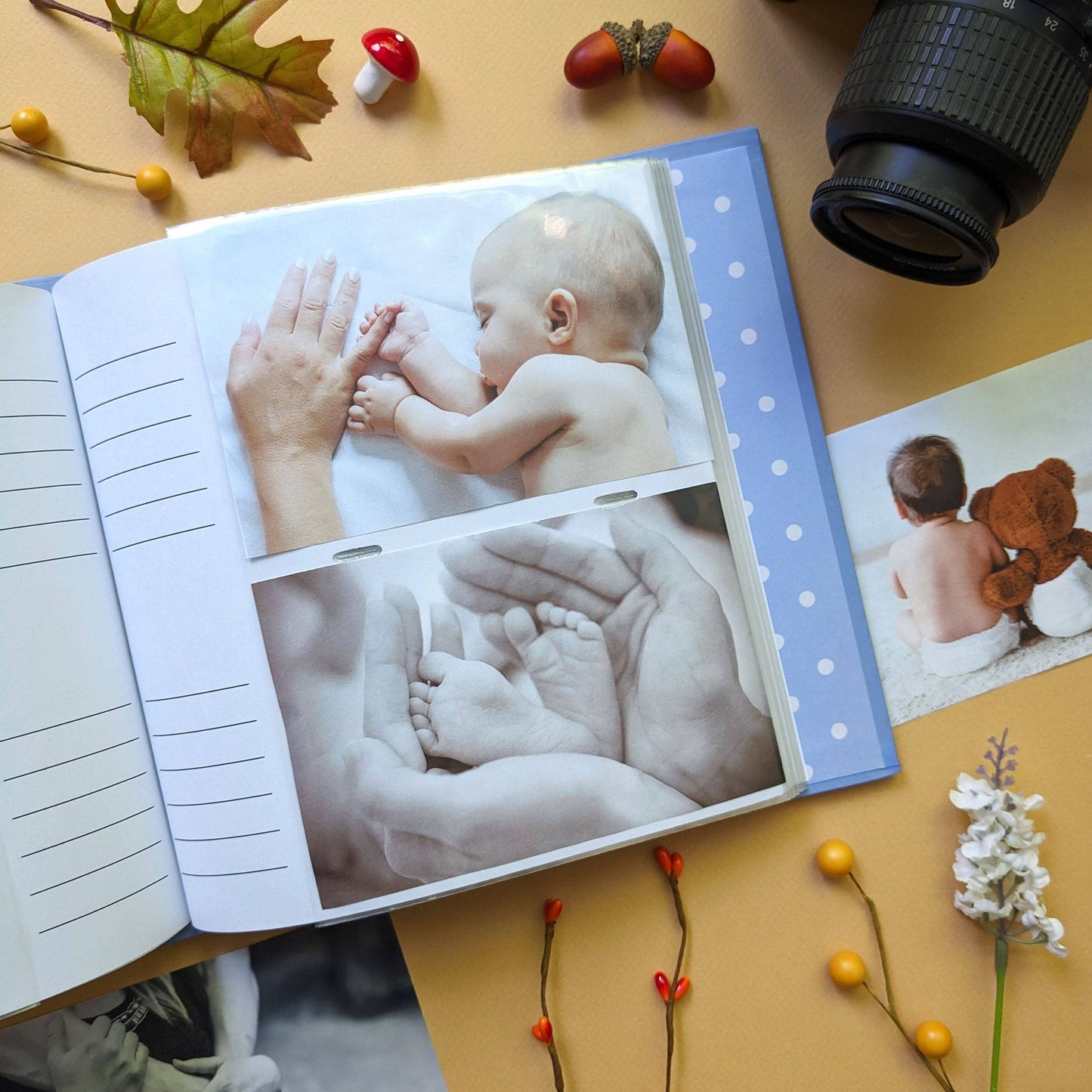 Peter Rabbit fotoalbum – Forest Picnic Design (Beatrix Potter Collection)