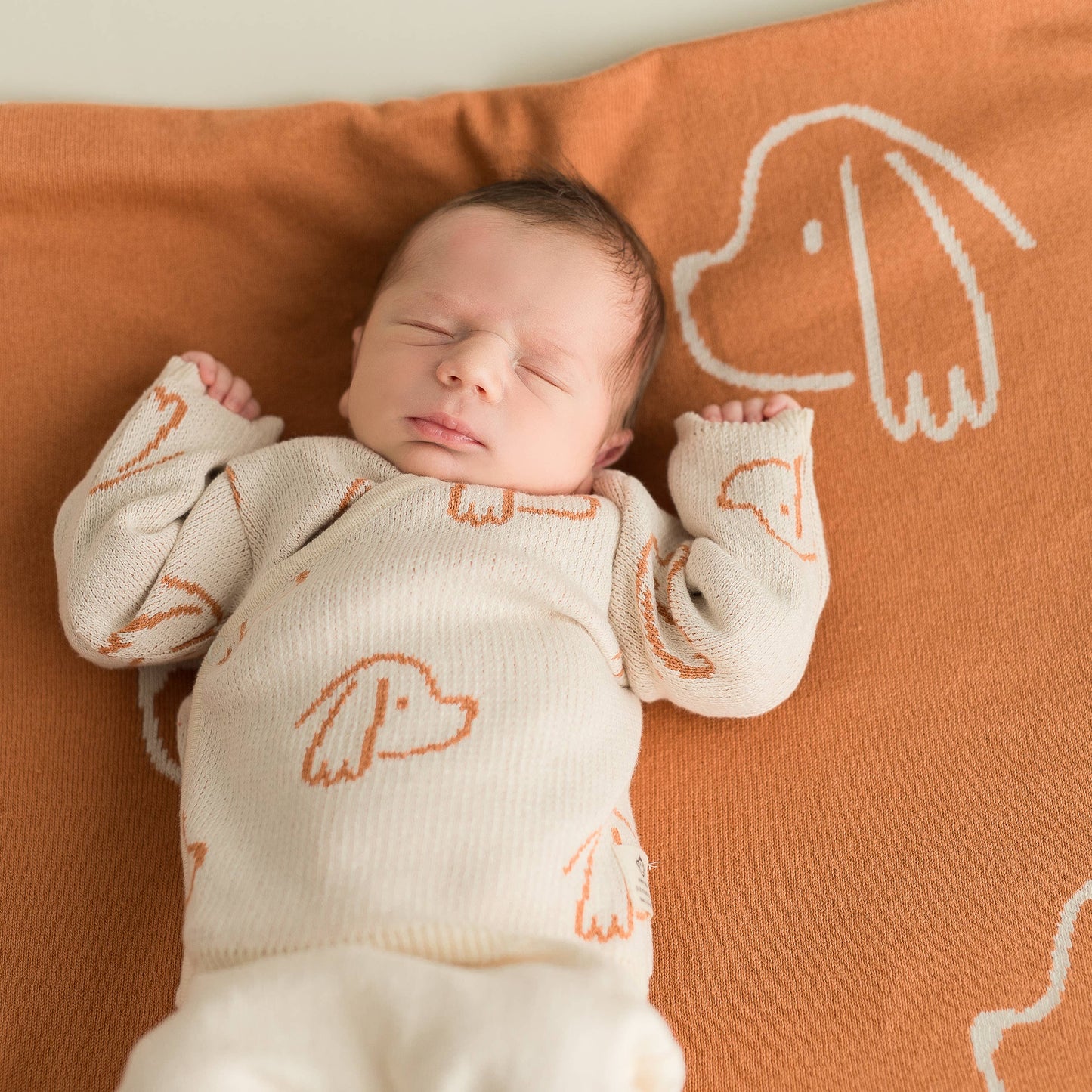 Babyfilt i ekologisk bomull med hundmotiv – Ecru, 80 × 100 cm